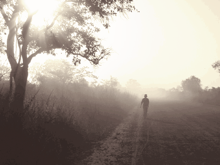 What Happens At Dawn